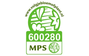 Vignet-MPS-ABC-NL-600280-360-225